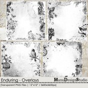 Enduring - Overlays