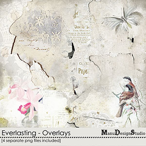 Everlasting - Overlays No.1