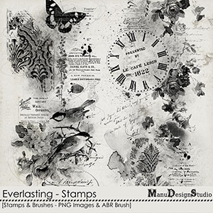 Everlasting - Stamps & Brushes