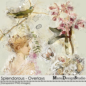 Splendorous Overlays by Manu Design Studio
