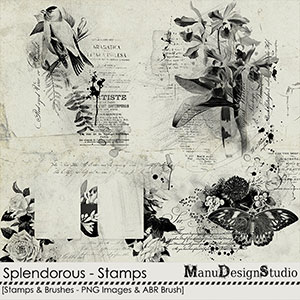 Splendorous Stamps & Brushes by Manu Design Studio