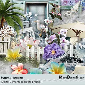 Summer Breeze - Elements