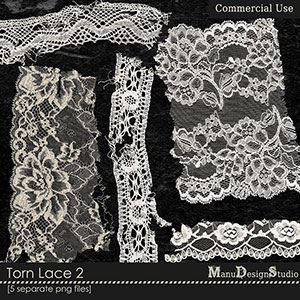 Torn Lace 2 - CU