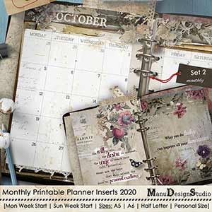 Set 2 - 2020 Monthly Printable Planner Inserts