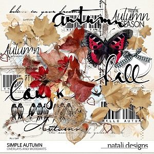 Simple Autumn Overlays