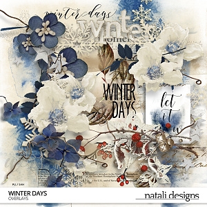 Winter Days Overlays