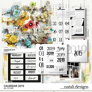 2019 Calendar All in One