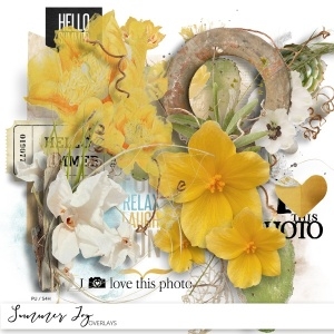 Summer Joy Overlays