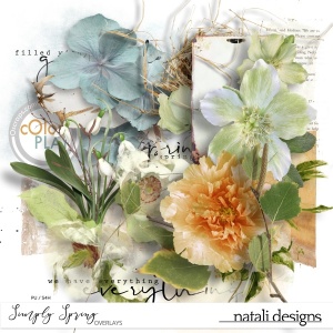 Simply Spring Overlays