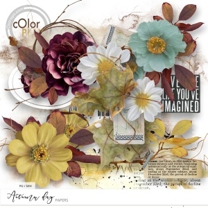 Autumn day Overlays