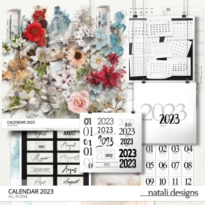 2023 Calendar All in One