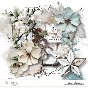 November Overlays