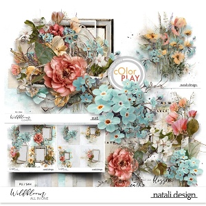 Wildbloom All in One