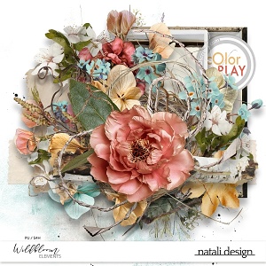 Wildbloom Elements