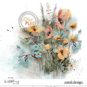 Wildbloom Brushes