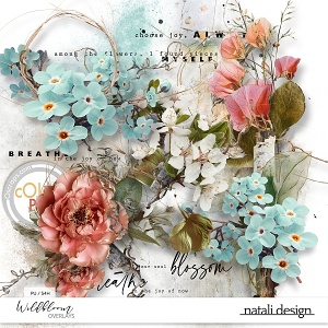 Wildbloom Overlays