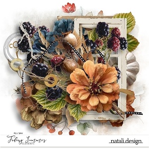 Fading Summer Elements