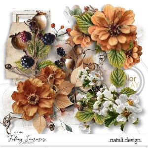 Fading Summer Overlays