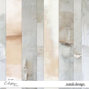 Celestine Papers 2