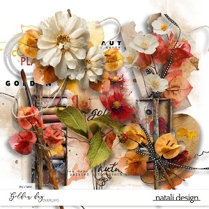 Golden Days Overlays