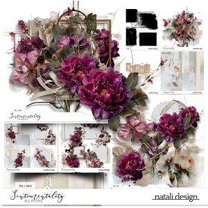 Sentimentality All in One