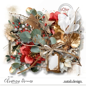 Christmas Dreams Elements