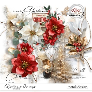 Christmas Dreams Overlays