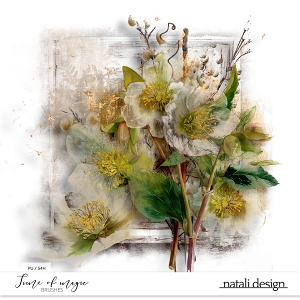 Time of magic brushes