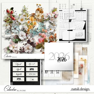 2026 Calendar All in One