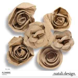 CU Paper Flowers