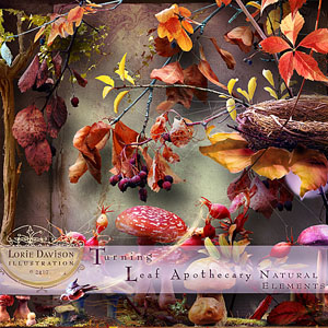 Turning Leaf Apothecary Natural Elements