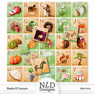 Shades Of Autumn Illustrated Alpha Cards By NLD Designs