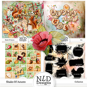 Shades of Autumn Collection By NLD Designs