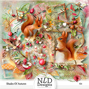 Shades Of Autumn Kit By NLD Designs
