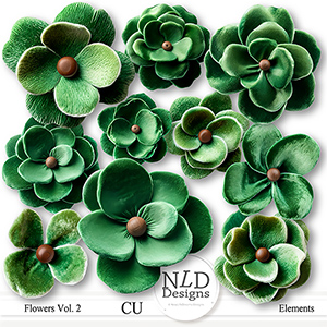 CU Flowers Vol. 2 By NLD Designs