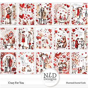 Crazy For You Illustrated Journal Cards