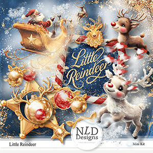 Little Reindeer By NLD Designs