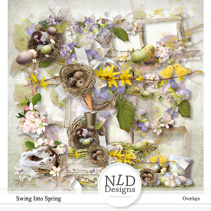 Swing Into Spring Overlays