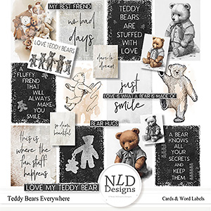 Teddy Bears Everywhere Journal Cards & Words