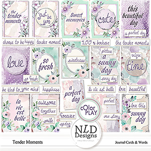 Tender Moments Journal Cards & Words By NLD Designs