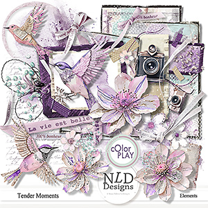 Tender Moments Elements By NLD Designs