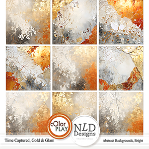 Time Captured,Gold & Glam Abstract Papers Bright By NLD Designs
