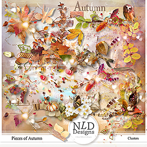 Pieces Of Autumn Clusters By NLD Designs