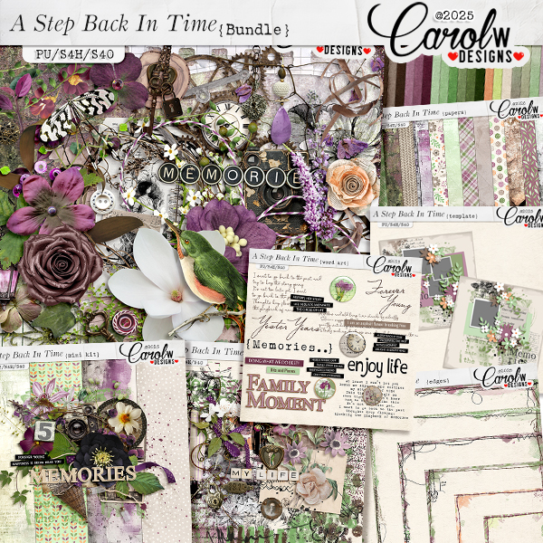 A Step Back In Time-Bundle