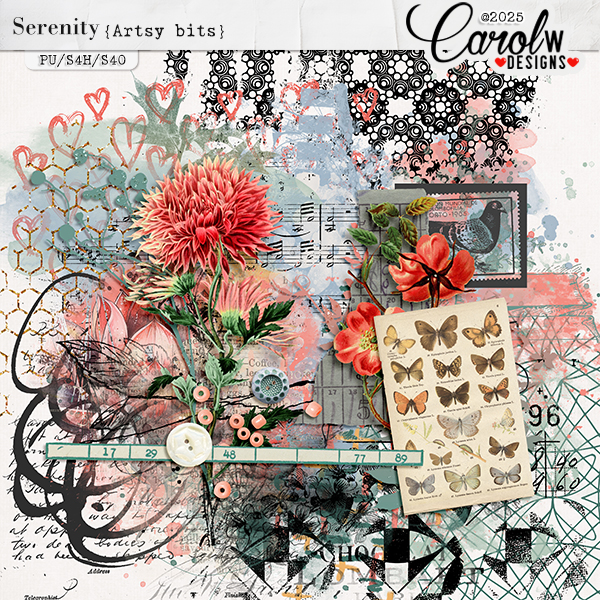 Serenity-Artsy bits