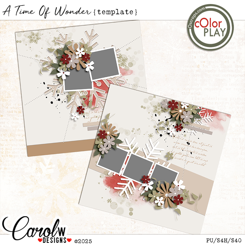 A Time Of Wonder-Template