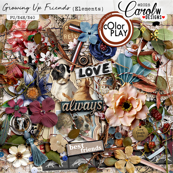 Growing Up Friends-Elements