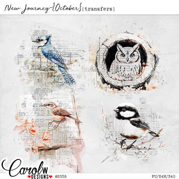 New Journey-{October}-transfers