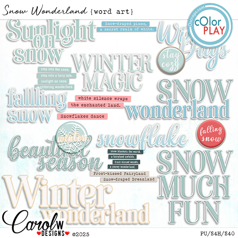 Snow Wonderland-Word art