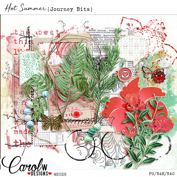 Hot Summer-Journey Bits